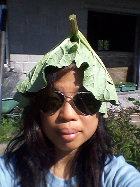 Stephanie during a farm stay